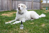 Flying Pests Protection Spray for Dogs